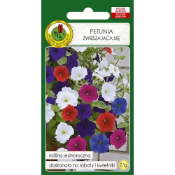 Petunia zwisająca mix 0,1 g ST